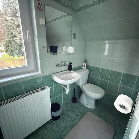 Goscinne Mirena 3* 카르파츠